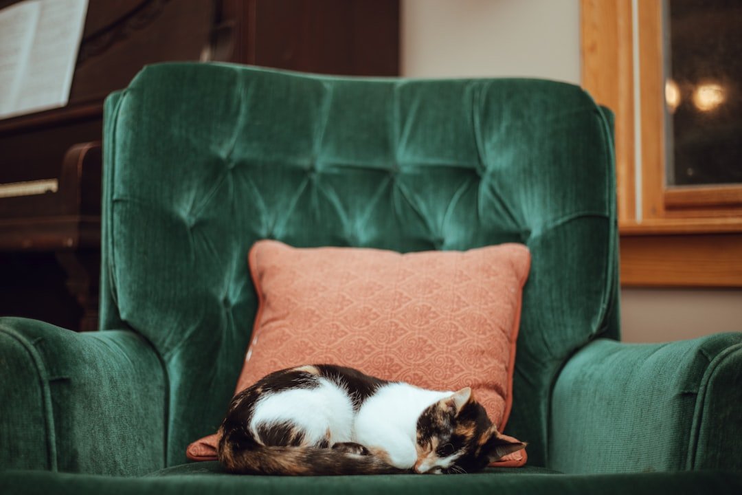 Photo Comfortable sleep